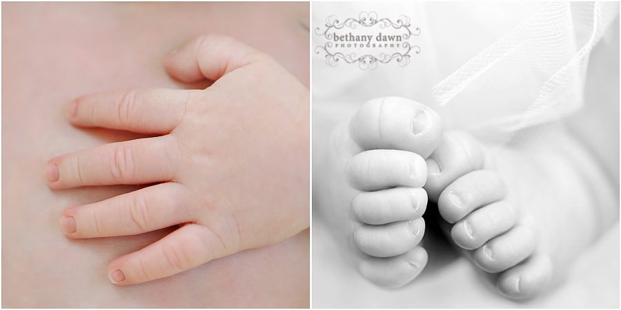 Albuquerque Newborn Photos