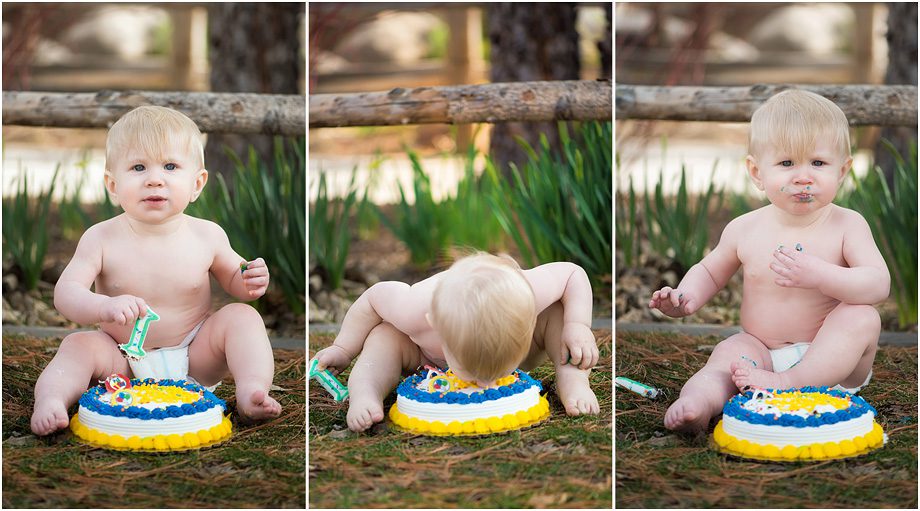 Albuquerque Cake Smash Session